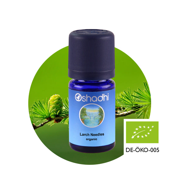 Етерично масло от Лиственица (иглички), био - Oshadhi ароматерапия aromatherapy essential oils