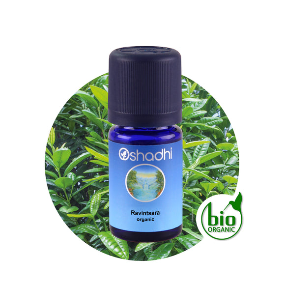 Етерично масло от Равинтсара, био - Oshadhi ароматерапия aromatherapy essential oils