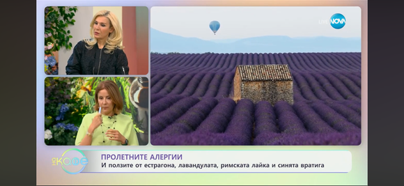 Алергии и обоняние: на гости в На Кафе с Гала + запишете Модул 3 по темата