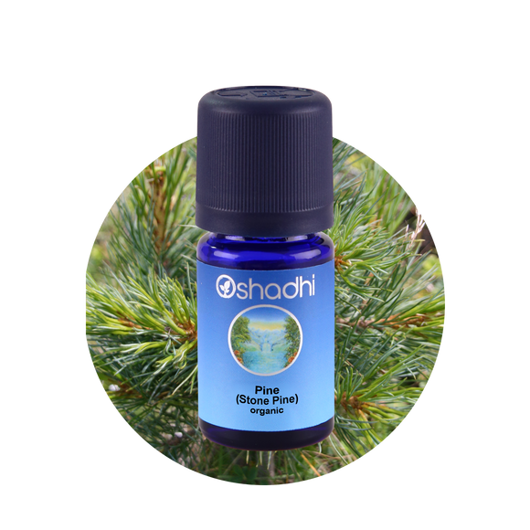 Eterichno-maslo-bor-pinus-cembra