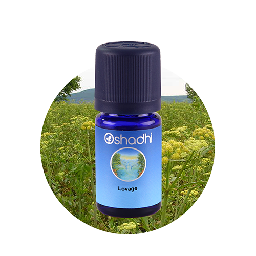Oshadhi Етерично масло от Девисил (Levisticum officinale) Lovage
