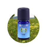 Oshadhi Етерично масло от Девисил (Levisticum officinale) Lovage