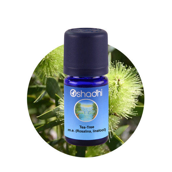 Eterichno-maslo-chaeno-dyrvo-Rosalina