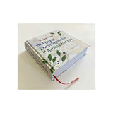 Pocket Encyclopaedia of Aromatherapy by Marie Noe
