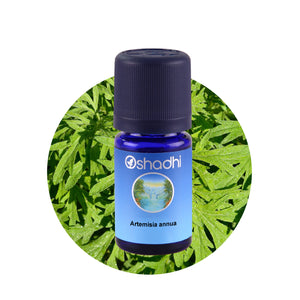 Oshadhi_eterichno_maslo_estragon_bio_Artemisia dracunculus