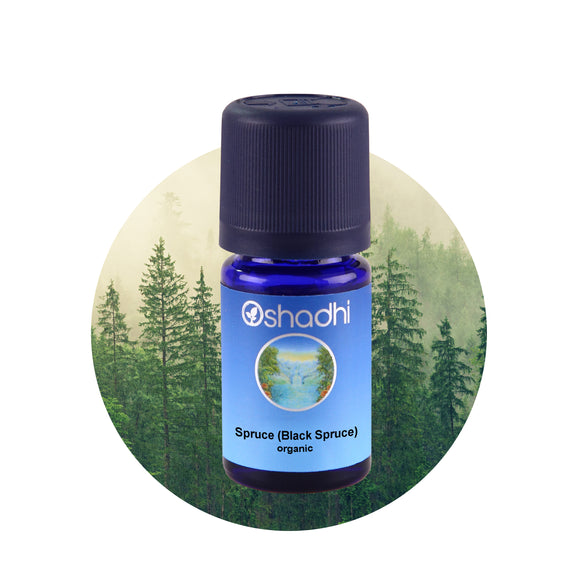 Етерично масло от Черен смърч, БИО - Oshadhi ароматерапия aromatherapy essential oils