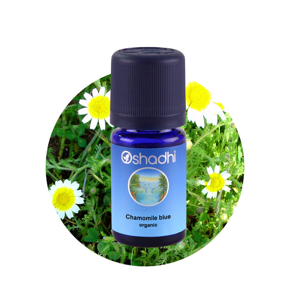Етерично масло от Лайка (синя), био - Oshadhi ароматерапия aromatherapy essential oils