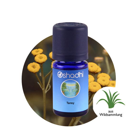 Oshadhi_eterichno_maslo_Tanacetum annuum_ednogodishna_vratiga_bio
