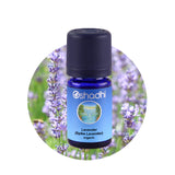 Етерично масло от Широколистна лавандула (Спика) БИО - Oshadhi ароматерапия aromatherapy essential oils