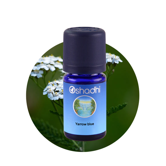 Етерично масло от Бял равнец - Oshadhi ароматерапия aromatherapy essential oils