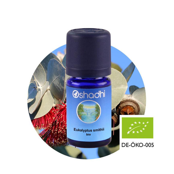 Етерично масло от Евкалипт смидай, био - Oshadhi ароматерапия aromatherapy essential oils