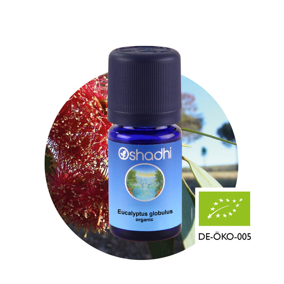 Етерично масло от Евкалипт (южна синя дъвка) (E. globulus), био - Oshadhi ароматерапия aromatherapy essential oils