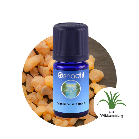 Етерично масло от Тамян (B. carterii) - Oshadhi ароматерапия aromatherapy essential oils