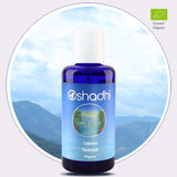 Хидролат от Кипарис, био - Oshadhi ароматерапия aromatherapy essential oils