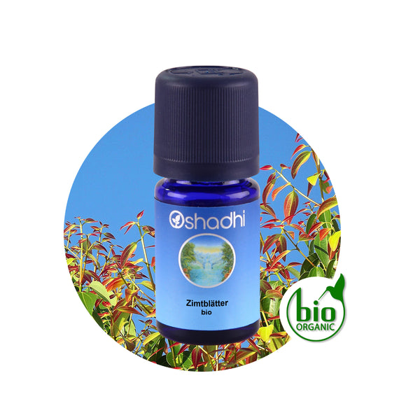 Етерично масло от Канела листа, био - Oshadhi ароматерапия aromatherapy essential oils